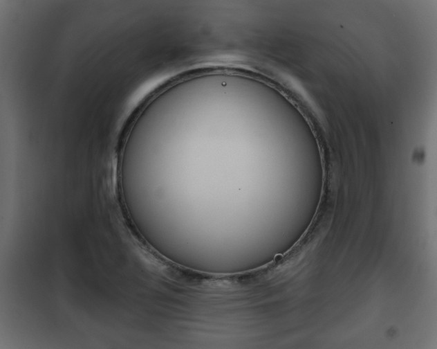 X0000101201320200807071305