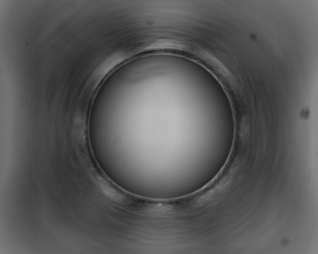X0000101201321200807071305