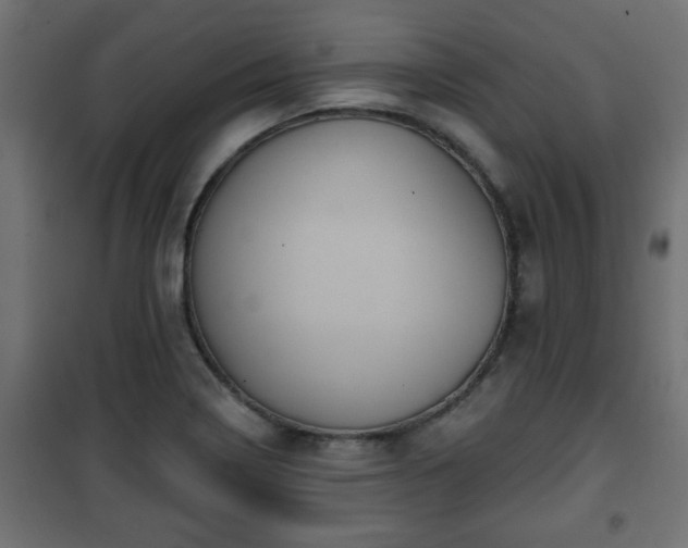 X0000101201322200807071305