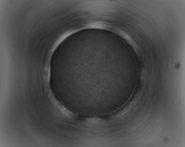 X0000101201323200807071305