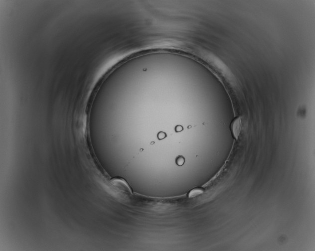 X0000101201324200807071305