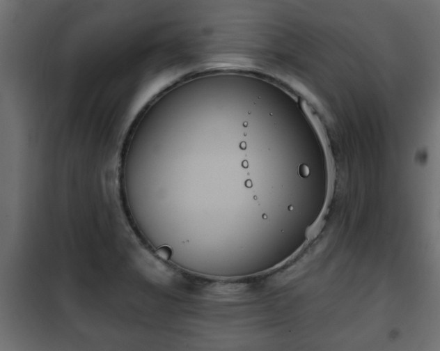 X0000101201325200807071305
