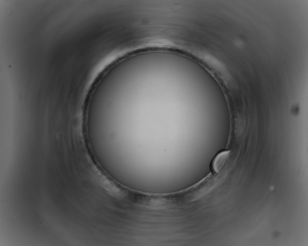 X0000101201326200807071305