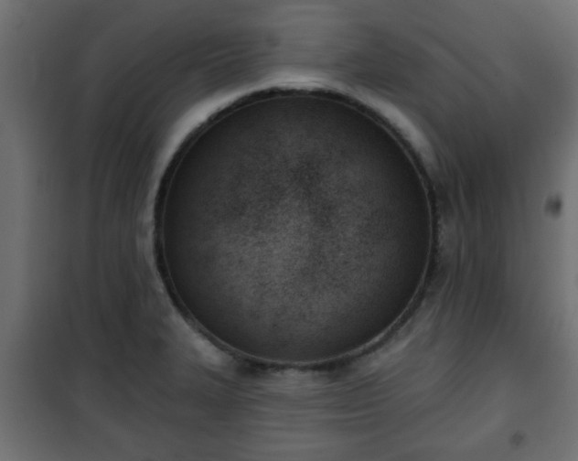 X0000101201327200807071305