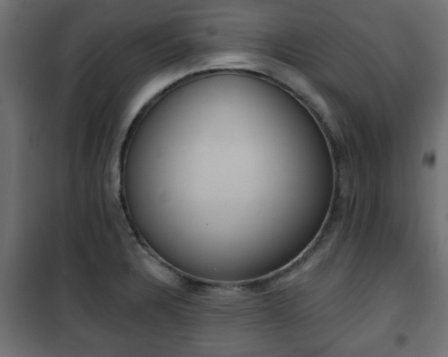 X0000101201328200807071305