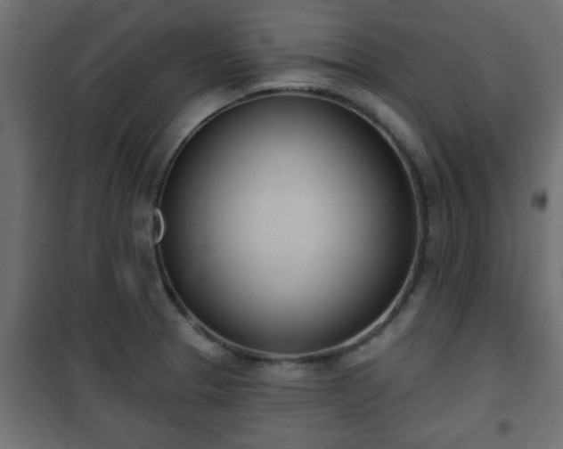X0000101201329200807071305