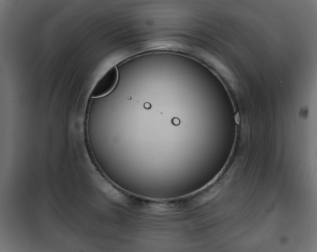 X0000101201330200807071305