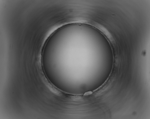 X0000101201332200807071305