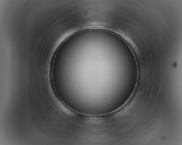 X0000101201333200807071305