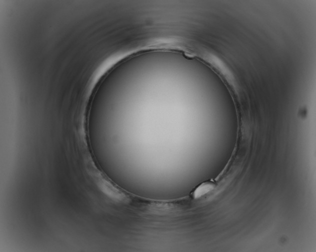 X0000101201336200807071305