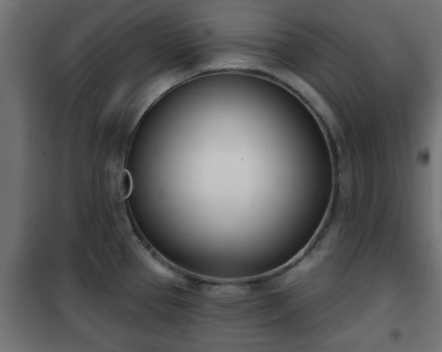 X0000101201337200807071305