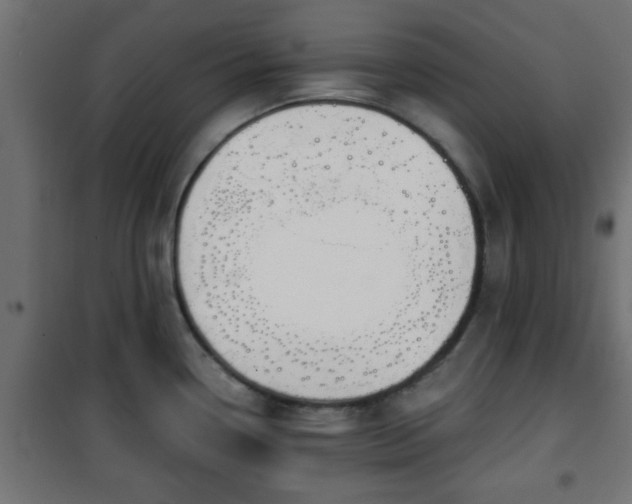 X0000101201338200807071305
