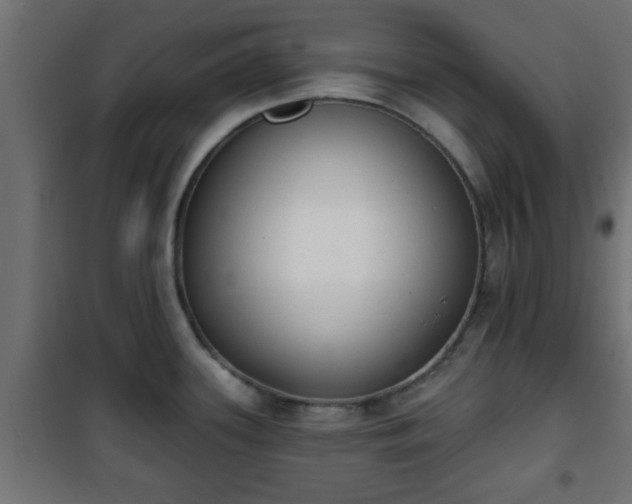 X0000101201339200807071305