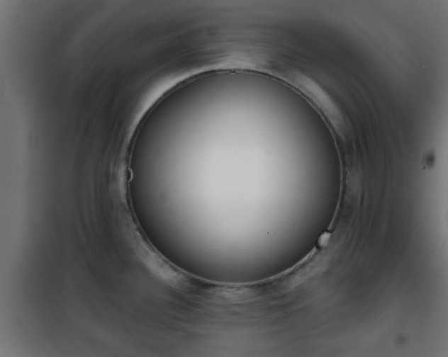 X0000101201340200807071305