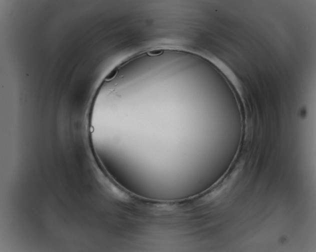 X0000101201341200807071305