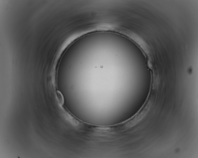 X0000101201342200807071305
