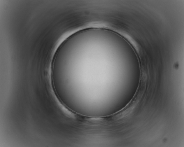 X0000101201343200807071305