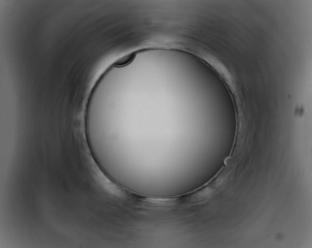 X0000101201344200807071305