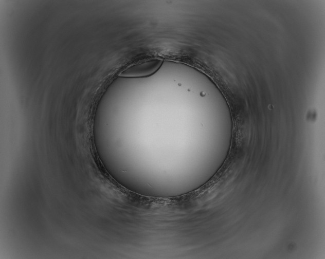 X0000101201345200807071305