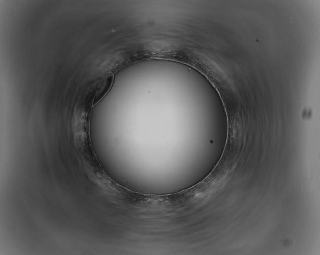 X0000101201346200807071304