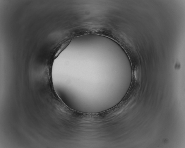 X0000101201347200807071304