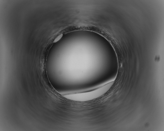 X0000101201348200807071304