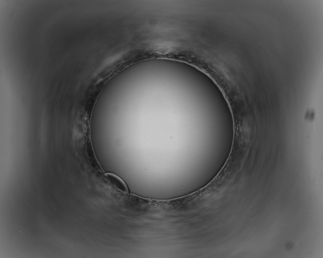 X0000101201349200807071304