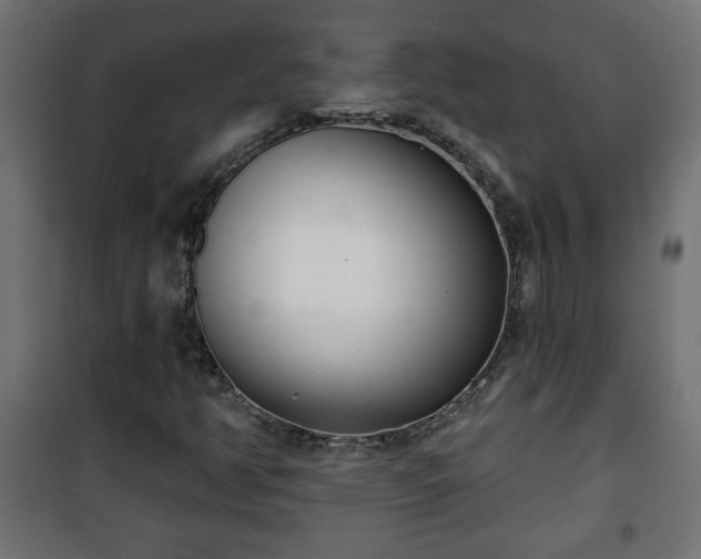 X0000101201350200807071304