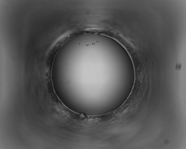X0000101201351200807071304