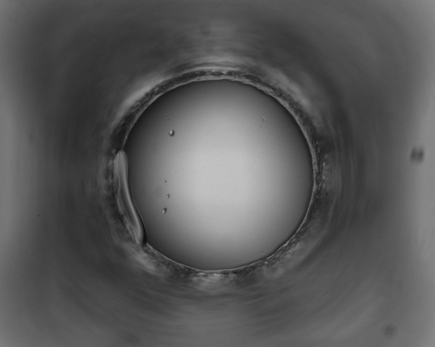 X0000101201352200807071304