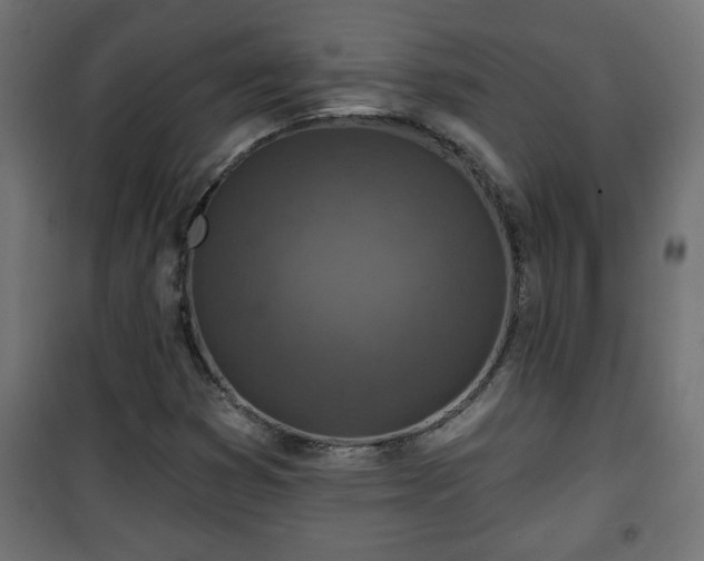 X0000101201353200807071304