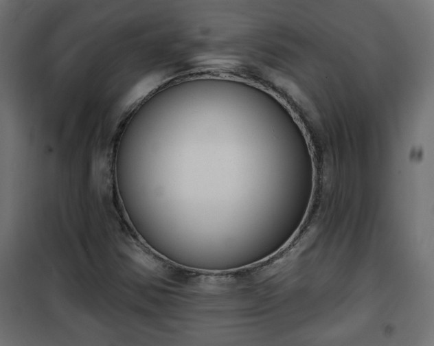 X0000101201354200807071304