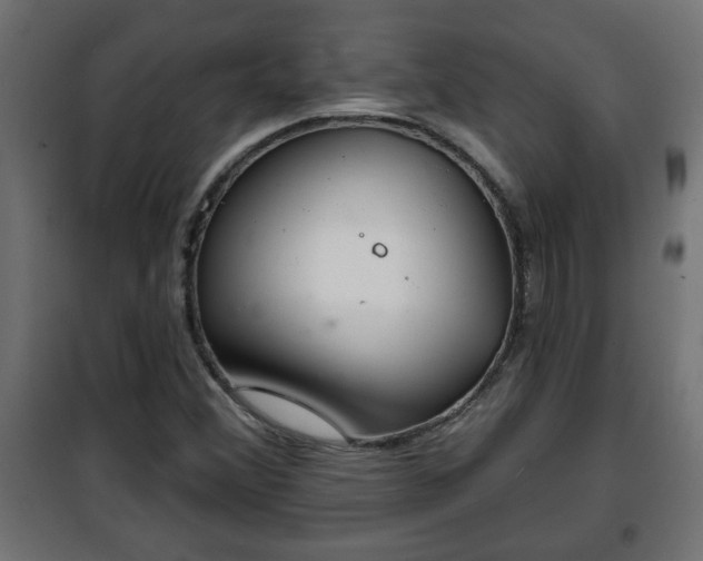 X0000101201356200807071304