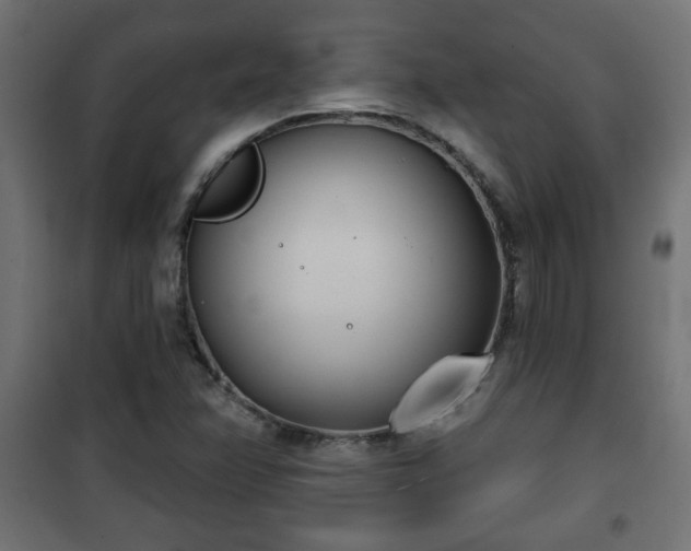X0000101201358200807071304