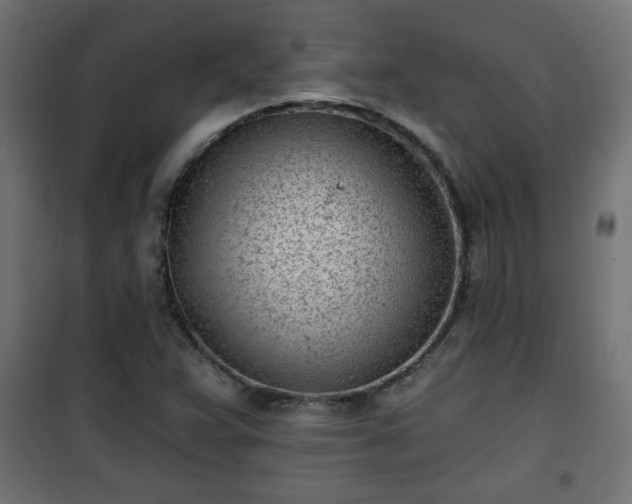 X0000101201359200807071304
