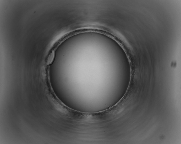 X0000101201360200807071304