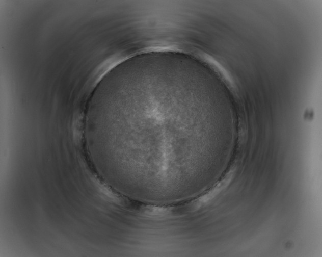X0000101201361200807071304