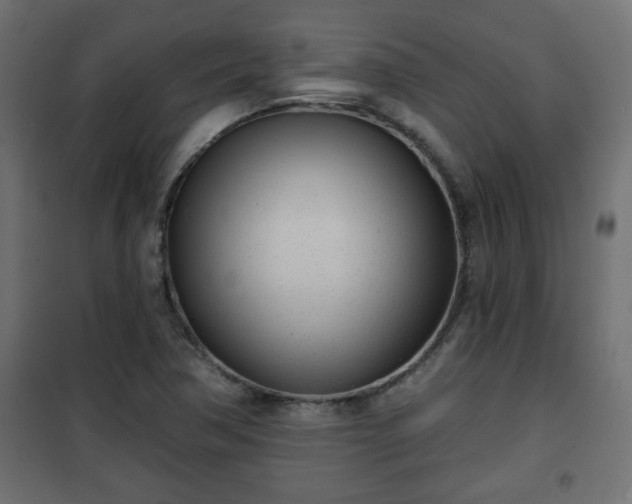 X0000101201362200807071304