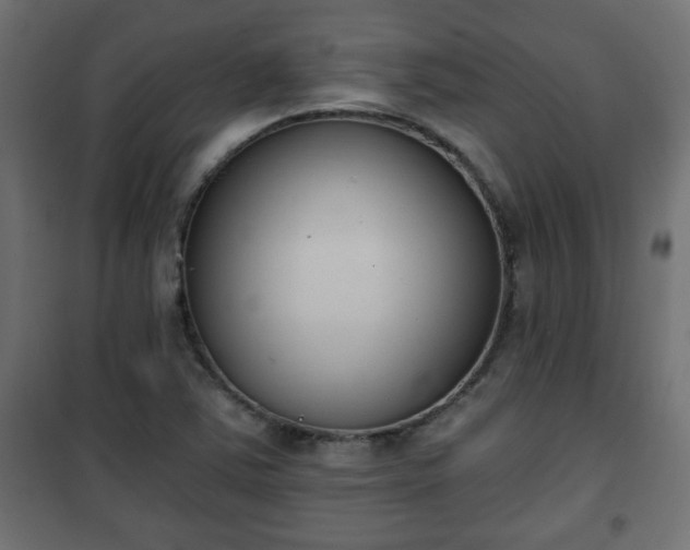 X0000101201363200807071304