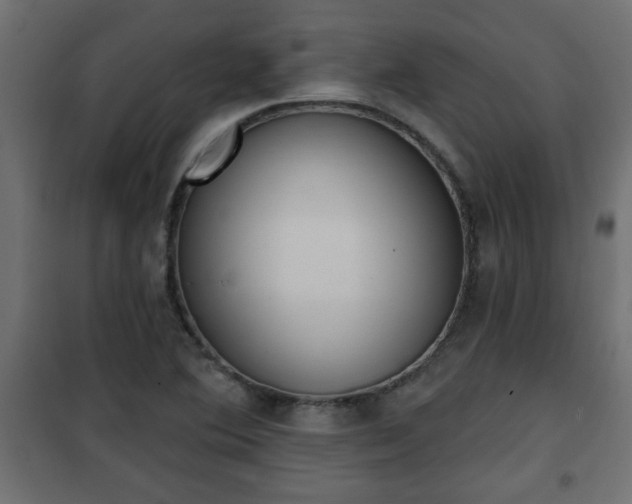 X0000101201364200807071304