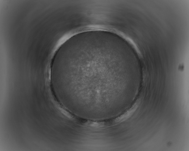X0000101201365200807071304
