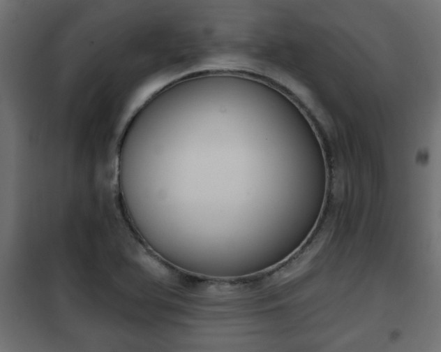 X0000101201366200807071304