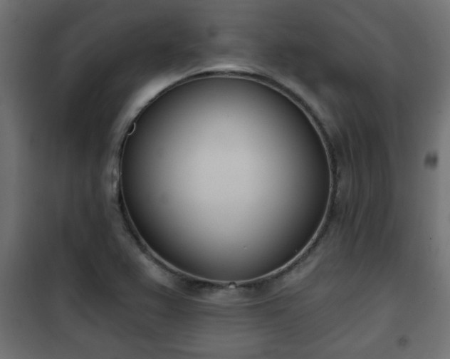 X0000101201367200807071304