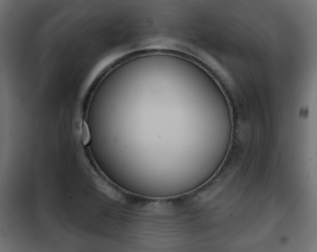 X0000101201368200807071304