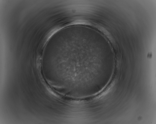 X0000101201369200807071304