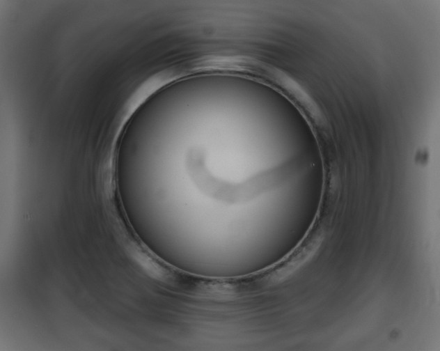 X0000101201370200807071304