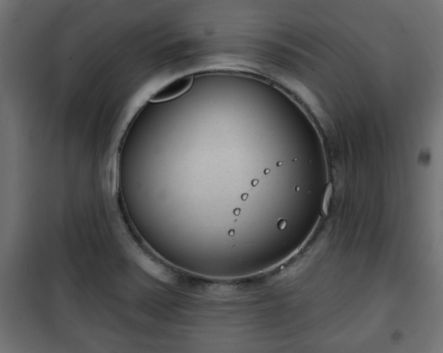 X0000101201371200807071304