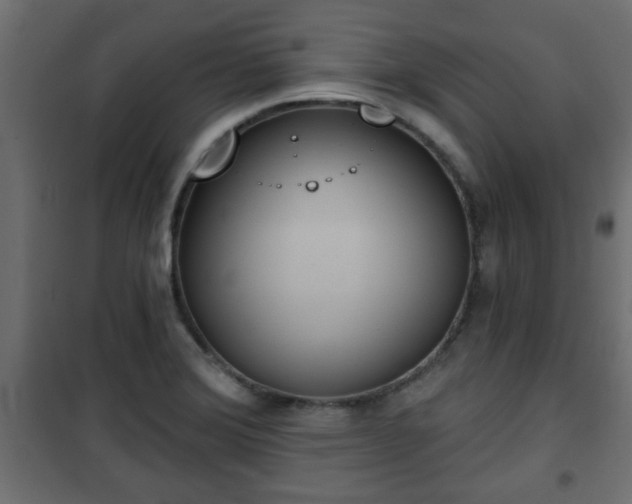 X0000101201372200807071304