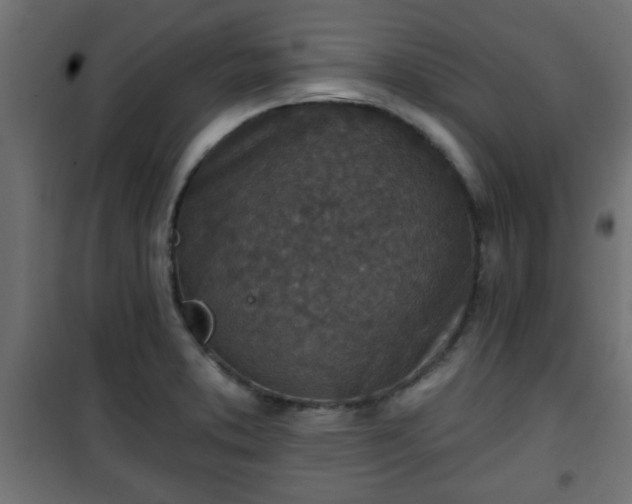 X0000101201373200807071304