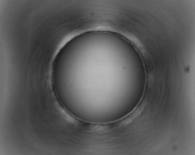 X0000101201374200807071304